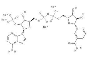 Product Element Image